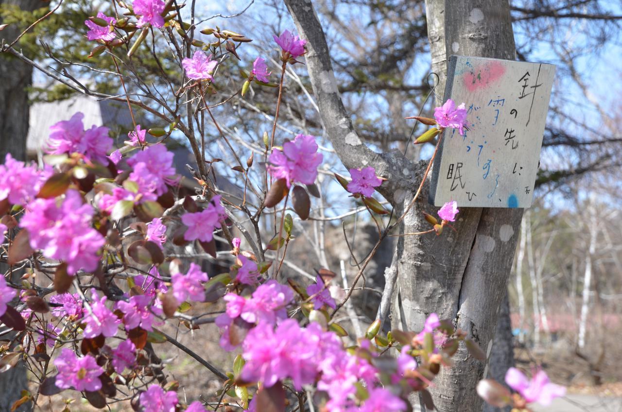 Artinn 極寒藝術伝染装置 Teshikaga Exterior photo
